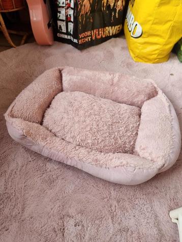 kattenmandjes beschikbaar voor biedingen