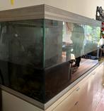 Aqualantis 450L met led verlichting, Ophalen, Gebruikt, Gevuld zoetwateraquarium