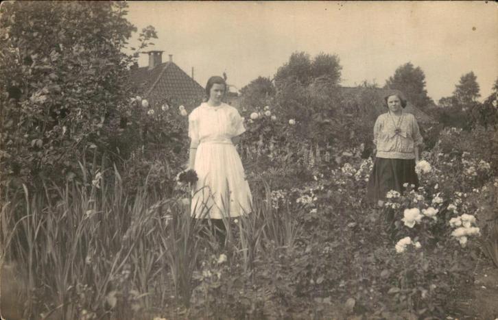Appelscha - In de tuin, Verzamelen, Ansichtkaarten | Nederland, Gelopen, Friesland, Voor 1920, Ophalen of Verzenden