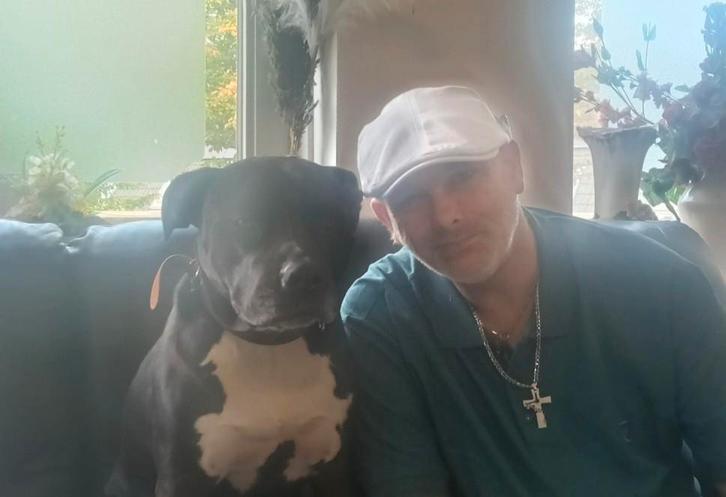 Oppas voor mijn hond gezocht, ivm ziekenhuis opname, Diensten en Vakmensen, Dieren | Honden | Verzorging, Oppas en Les