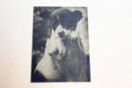 metalen drukplaat printing plate fox terrier boerenfox hond, Verzamelen, Ophalen of Verzenden, Zo goed als nieuw, Hond of Kat
