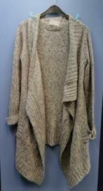 Just B lang grijs gemêleerd mohair vest maat L ruim nr 36761, Kleding | Dames, Truien en Vesten, ., Maat 42/44 (L), Ophalen of Verzenden
