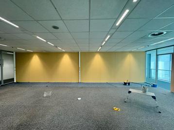Professionele Schilder & Behang Specialist - Haarlem beschikbaar voor biedingen