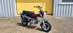 Replica Dax 125cc - Motorkenteken, Ophalen, Gebruikt, Dax Replica