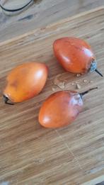 Biologische Tamarillo Zaden - Zoetzure Smaak, Ophalen of Verzenden, Voorjaar, Volle zon, Zaad