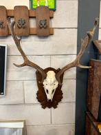 20 tal hertengeweien, Verzamelen, Ophalen of Verzenden, Hert