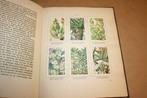 Vetplanten. A.J. van Laren. Compleet Plaatjesalbum 1932., Boeken, Prentenboeken en Plaatjesalbums, Ophalen of Verzenden, Gelezen
