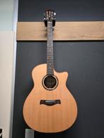 Richwood SWG-150-CE Gitaar + Tas, Muziek en Instrumenten, Snaarinstrumenten | Gitaren | Akoestisch, Ophalen of Verzenden, Gebruikt