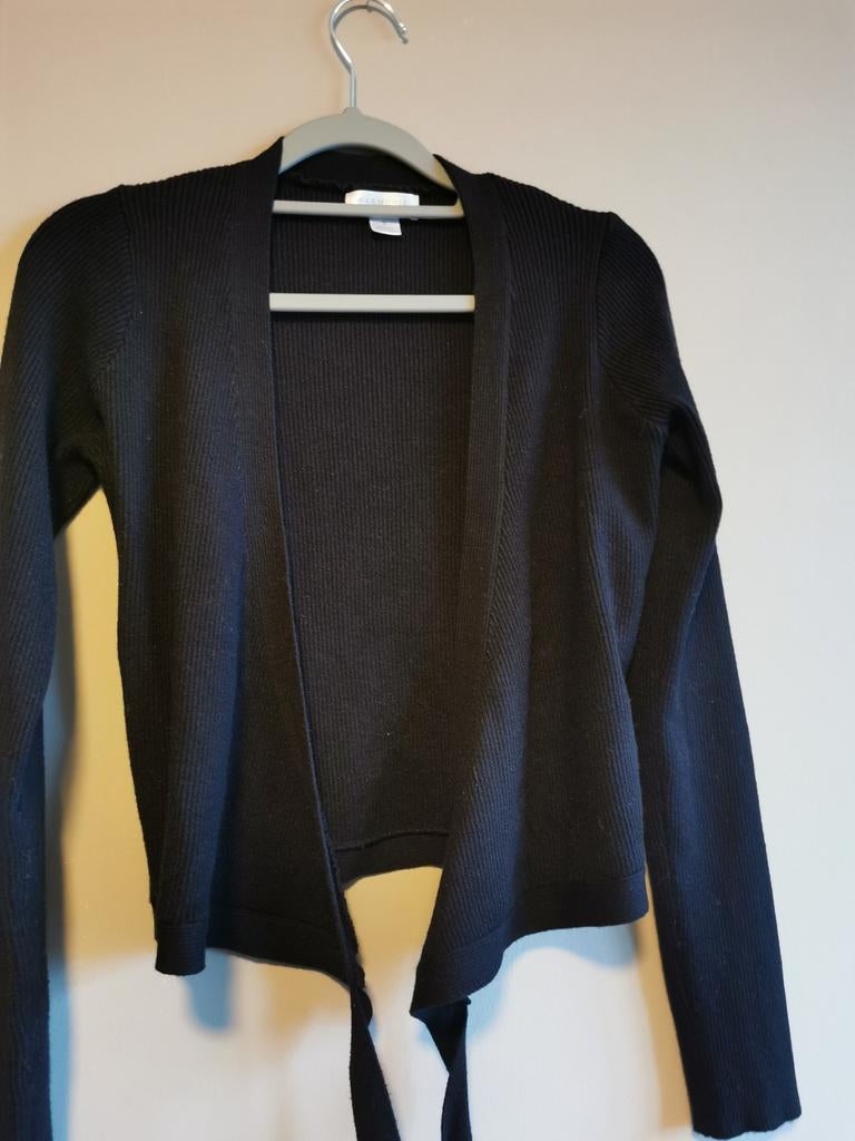 Harmonie Ballet vestje, Ophalen of Verzenden, Zo goed als nieuw, Kleding