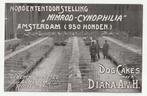 Hondententoonstelling Nimrod-Cynophilia Amsterdam reclame, Gebruikt, Verzenden, Overige typen, X