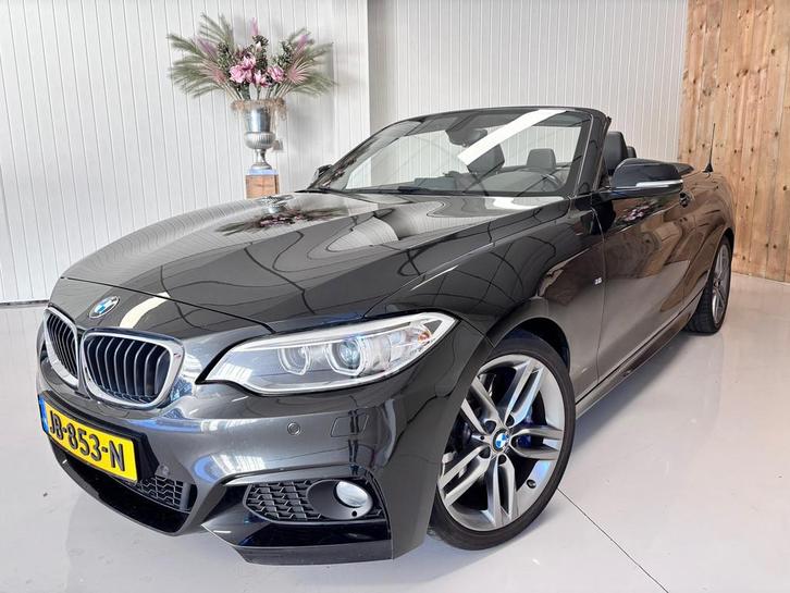 BMW 2-serie Cabrio 220i High Executive M, M-PAKKET automaat,, Auto's, BMW, Bedrijf, Te koop, 2-Serie, ABS, Airbags, Airconditioning