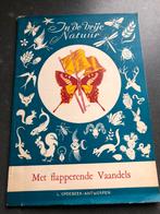 Met Flapperende vaandels door Gust Muller, Ophalen of Verzenden