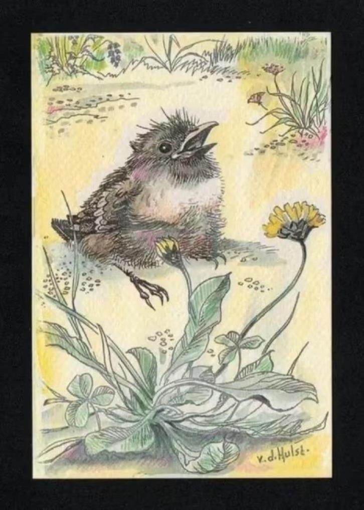 W.G. van de Hulst Van drie domme zusjes Vogel., Verzamelen, Ansichtkaarten | Themakaarten, Ongelopen, 1980 tot heden, Cultuur en Media