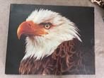 Schilderij Amerikaanse zee Arend adelaar roofvogel, Ophalen of Verzenden