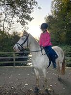 Verzorger / bijrijder aangeboden, Dieren en Toebehoren, Paarden en Pony's | Overige Paardenspullen, Ophalen of Verzenden