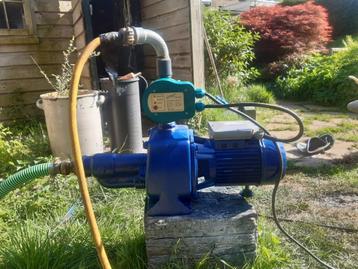 PULS VOOR IN DE TUIN / MOESTUIN beschikbaar voor biedingen