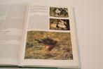 Ecologische Atlas Nederlandse Roofvogels — Veel ill., Ophalen of Verzenden, Gelezen, Vogels
