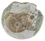 Penning VPK 1997 Hodoroaba : Brieven uit andere Wereld #2, Verzenden, Overige materialen, Nederland