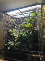 Terrarium 60x45x90 ingericht met of zonder lampen., Dieren en Toebehoren, Reptielen en Amfibieën | Toebehoren, Ophalen, Zo goed als nieuw