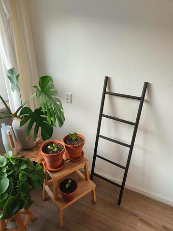 Decoratie ladder beschikbaar voor biedingen