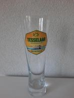 Tesselaar Bierglas Glas Bier van Texel Familiebrouwerij Diks, Verzamelen, Biermerken, Overige merken, Glas of Glazen, Ophalen of Verzenden