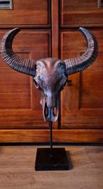 Buffel schedel, Ophalen of Verzenden