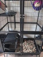 Rattenkooi, Dieren en Toebehoren, Knaagdieren en Konijnen | Hokken en Kooien, Ophalen, Gebruikt, Kooi, 90 cm of meer