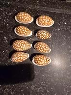 mooie Cypraea Cribrasria maat zie foto nu 1,00 per stuk, Ophalen of Verzenden, Mineraal