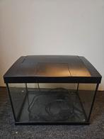 Mooi aquarium superfish start 20, Dieren en Toebehoren, Vis, Zoetwatervis