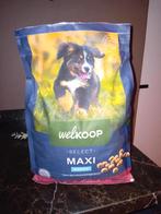 Welkoop puppy brokken maxi., Ophalen, Hond