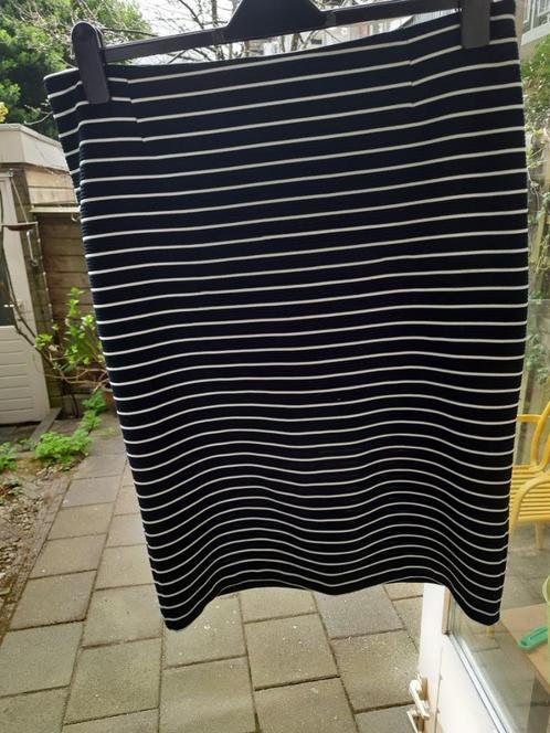 Leuk rokje blauw-wit gestreept XL Merk Witteveen, Kleding | Dames, Rokken, Zo goed als nieuw, Maat 46/48 (XL) of groter, Blauw