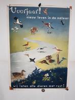 Originele Poster Dierenbescherming Voorjaar, Verzamelen, Posters, Verzenden, A1 t/m A3, Film en Tv, Rechthoekig Staand