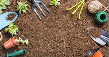 Tuinman aangeboden: onderhoud, Graaf, sloop, breek en klusje beschikbaar voor biedingen