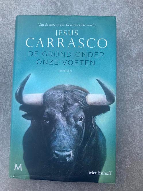 Jesús Carrasco - De grond onder onze voeten, Boeken, Literatuur, Zo goed als nieuw, Nederland, Ophalen of Verzenden