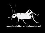 Voedseldieren Almelo, Dieren en Toebehoren, Reptielen en Amfibieën | Toebehoren, Ophalen, Van den broekeweg 21L, Almelo, Tarantulahub