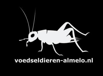 Voedseldieren Almelo beschikbaar voor biedingen