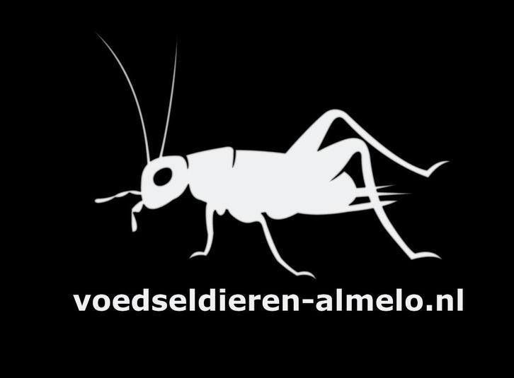 Voedseldieren Almelo, Dieren en Toebehoren, Reptielen en Amfibieën | Toebehoren, Nieuw, Overige typen, Ophalen