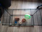 Terrarium, Dieren en Toebehoren, Knaagdieren en Konijnen | Hokken en Kooien, Kooi, Gebruikt, Hamster, 75 tot 110 cm