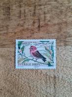 Zweden vogel, Ophalen of Verzenden, Zweden