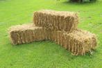 Kleine balen stro, Dieren en Toebehoren, Dierenvoeding, Ophalen, Vee