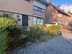 Heg van taxus, 8 stuks, Tuin en Terras, Ophalen, Bloeit niet, Halfschaduw, Overige soorten