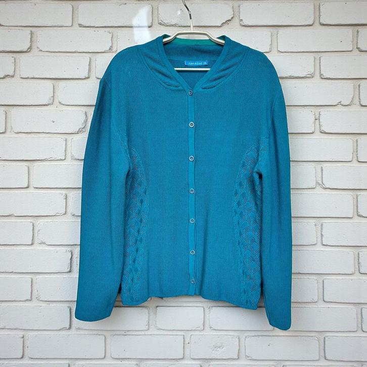 Lien & Giel Vest Maat XXL Turquoise Blauw Gebreid, Kleding | Dames, Truien en Vesten, Zo goed als nieuw, Maat 46/48 (XL) of groter