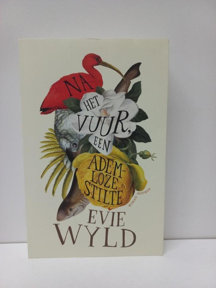 Evie Wyld - Na het vuur, een ademloze stilte, Boeken, Romans, Zo goed als nieuw, Ophalen of Verzenden