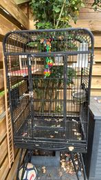 Vogels kooien, Dieren en Toebehoren, Ophalen of Verzenden, Zo goed als nieuw, Hout, Vogelkooi