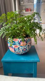 Plantenpot, Tuin en Terras, Rond, Ophalen of Verzenden, Zo goed als nieuw, Aardewerk