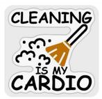 Huishoudelijke hulp gezocht in Assen (Kloosterveen), Diensten en Vakmensen, Huishoudelijke hulp, Schoonmaken