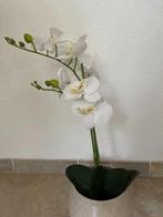 "Phalaenopsis Orchidee"  'Kunstplant' Nieuw, Ophalen of Verzenden, Overige soorten, Minder dan 100 cm