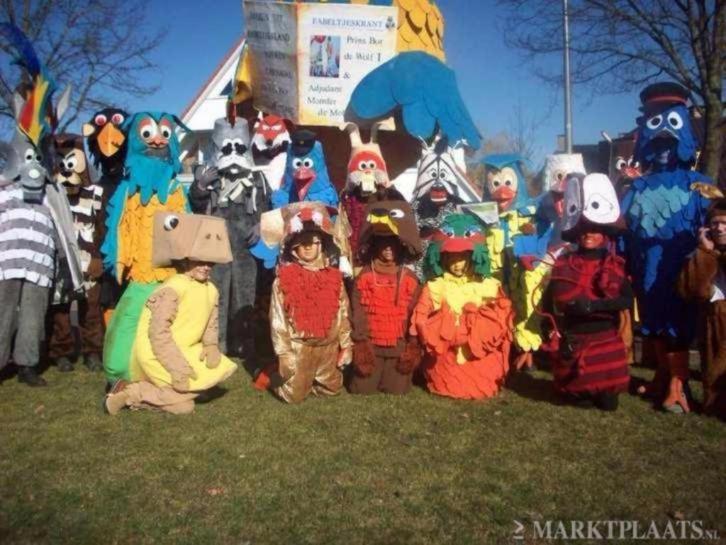 Te huur; prachtige fleurige loopgroep Fabeltjeskrant 25x, Kleding | Dames, Carnavalskleding en Feestkleding, Zo goed als nieuw