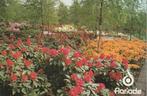 AMSTERDAM Floriade 1972, Verzamelen, Ansichtkaarten | Nederland, Verzenden, 1960 tot 1980, Gelopen, Noord-Holland
