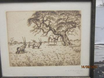 Byz Oude gesign Ets 1921, Bokken/ORYX, i/e Weiland beschikbaar voor biedingen